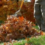 Fall Cleanup