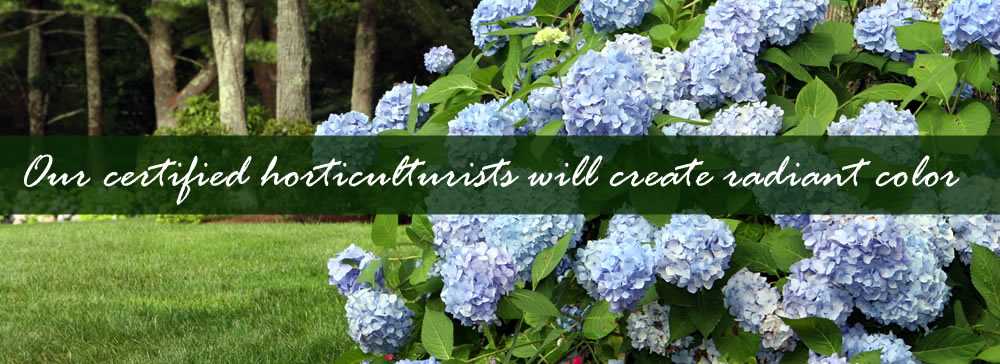 Our certified horticulterists will provide radiant color