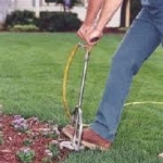 Tree and Shrub Fertilization