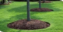 mulching