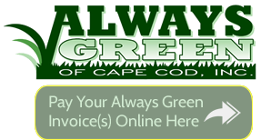 Always Green Pay Online
