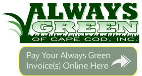 Always Green Pay Online